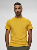 Selected BAUMWOLL T-SHIRT, Mango Mojito, highres - 16077365_MangoMojito_008.jpg