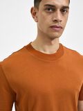 Selected MANCHES COURTES T-SHIRT, Bombay Brown, highres - 16077385_BombayBrown_006.jpg