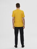 Selected RELAXED FIT KURZARM T-SHIRT, Mango Mojito, highres - 16077385_MangoMojito_004.jpg