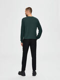 Selected CREW-NECK TRUI, Darkest Spruce, highres - 16076483_DarkestSpruce_807146_004.jpg