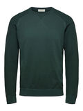 Selected ORGANIC COTTON - JUMPER, Sycamore, highres - 16075244_Sycamore_787057_001.jpg