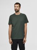Selected BAUMWOLL T-SHIRT, Sycamore, highres - 16077365_Sycamore_003.jpg