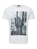 Selected IMPRIMÉ PHOTO - T-SHIRT, Bright White, highres - 16070801_BrightWhite_739565_001.jpg