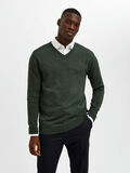 Selected PIMA COTTON V-NECK JUMPER, Darkest Spruce, highres - 16074683_DarkestSpruce_1009559_003.jpg