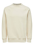 Selected BRUSHED SWEATSHIRT, Oatmeal, highres - 16087860_Oatmeal_001.jpg