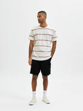 Selected STRIPED T-SHIRT, Peach Whip, highres - 16084687_PeachWhip_932006_005.jpg