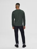 Selected REGULAR FIT ORGANIC COTTON 340G - SWEATSHIRT, Sycamore, highres - 16077366_Sycamore_004.jpg