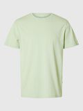 Selected RELAXED T-SHIRT, Bok Choy, highres - 16087842_BokChoy_001.jpg