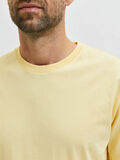 Selected COTTON T-SHIRT, Sunlight, highres - 16077365_Sunlight_006.jpg