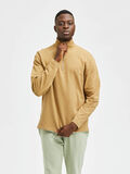 Selected ORGANIC COTTON SELECTED STANDARDS SWEATSHIRT, Kelp, highres - 16082486_Kelp_003.jpg