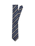 Selected STRIPED TIE, Incense, highres - 16083973_Incense_001.jpg