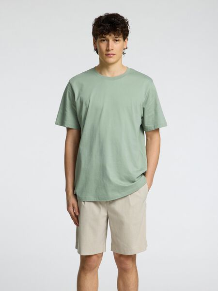 Selected REGULAR T-SHIRT, Iceberg Green, highres - 16087842_IcebergGreen_003.jpg