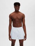 Selected STRIPED SWIM SHORTS, Cashmere Blue, highres - 16089429_CashmereBlue_1024762_005.jpg