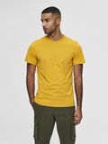 Selected BAUMWOLL T-SHIRT, Mango Mojito, highres - 16077365_MangoMojito_003.jpg