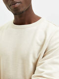 Selected CREW NECK SWEATSHIRT, Egret, highres - 16081950_Egret_006.jpg