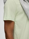 Selected RELAXED T-SHIRT, Bok Choy, highres - 16087842_BokChoy_006.jpg
