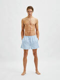 Selected TRYCKTA BADSHORTS, Chambray Blue, highres - 16067678_ChambrayBlue_920574_005.jpg