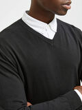 Selected PIMA COTTON V-NECK JUMPER, Black, highres - 16074683_Black_006.jpg