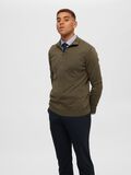 Selected HALF-ZIP STRICKPULLOVER, Ivy Green, highres - 16074687_IvyGreen_779218_008.jpg