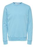 Selected BIO-BAUMWOLLE WASHED-LOOK SWEATSHIRT, Horizon Blue, highres - 16078618_HorizonBlue_001.jpg