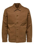 Selected COTTON SHACKET, Ermine, highres - 16086435_Ermine_001.jpg