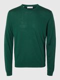 Selected 100% MERINOWOLL PULLOVER MIT RUNDHALSAUSSCHNITT, Rain Forest, highres - 16094647_RainForest_001.jpg