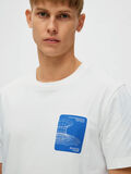 Selected GRAFISKT TRYCK T-SHIRT, Cloud Dancer, highres - 16088554_CloudDancer_006.jpg