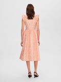 Selected VESTITO MIDI, Papaya, highres - 16091015_Papaya_004.jpg
