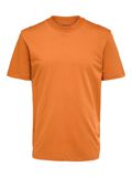 Selected COL MONTANT, COTON BIOLOGIQUE 220G- T-SHIRT, Bombay Brown, highres - 16077385_BombayBrown_001.jpg