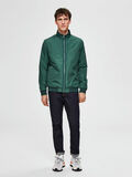 Selected BOMBER - JACKET, Pineneedle, highres - 16071533_Pineneedle_005.jpg