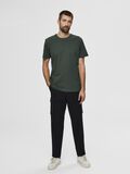 Selected BAUMWOLL T-SHIRT, Sycamore, highres - 16077365_Sycamore_005.jpg