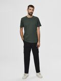 Selected COTTON T-SHIRT, Sycamore, highres - 16077365_Sycamore_005.jpg