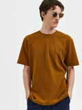 Selected T-SHIRT, Breen, highres - 16085670_Breen_008.jpg