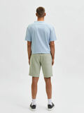 Selected SHORTS, Desert Sage, highres - 16084203_DesertSage_004.jpg