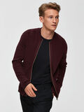 Selected COTON BIOLOGIQUE - CARDIGAN, Port Royale, highres - 16068975_PortRoyale_702517_008.jpg