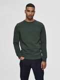 Selected KLASSISK SWEATSHIRT, Sycamore, highres - 16077366_Sycamore_003.jpg