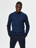 Selected ORGANIC COTTON - JUMPER, Estate Blue, highres - 16072000_EstateBlue_813064_003.jpg