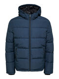 Selected PADDED PUFFER JACKET, Sky Captain, highres - 16084886_SkyCaptain_001.jpg