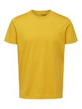 Selected BAUMWOLL T-SHIRT, Mango Mojito, highres - 16077365_MangoMojito_001.jpg