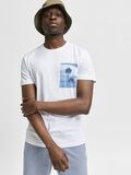 Selected ORGANIC COTTON PHOTO PRINT T-SHIRT, White, highres - 16079042_White_853238_008.jpg