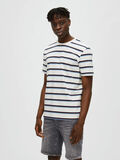 Selected STRIPED T-SHIRT, Cloud Dancer, highres - 16088579_CloudDancer_003.jpg