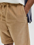 Selected CORD SHORTS, Incense, highres - 16083589_Incense_006.jpg