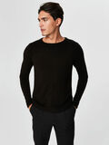 Selected CREW NECK - JUMPER, Black, highres - 16054573_Black_003.jpg