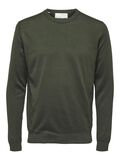 Selected SWETER, Forest Night, highres - 16079772_ForestNight_001.jpg