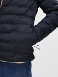 Selected PADDED QUILTED JACKET, Sky Captain, highres - 16089395_SkyCaptain_006.jpg