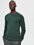 Selected BIOLOGISCH KATOENEN SWEATER, Sycamore, highres - 16075244_Sycamore_787057_008.jpg