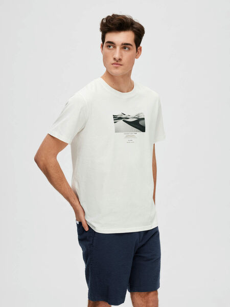 Selected GRAPHIC PRINT T-SHIRT, Cloud Dancer, highres - 16088539_CloudDancer_003.jpg