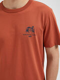 Selected TRYCK T-SHIRT, Baked Clay, highres - 16087862_BakedClay_006.jpg