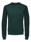 Selected CREW-NECK TRUI, Darkest Spruce, highres - 16076483_DarkestSpruce_807146_001.jpg