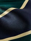 Selected 100% SILK TIE, Rain Forest, highres - 16097284_RainForest_1174834_005.jpg